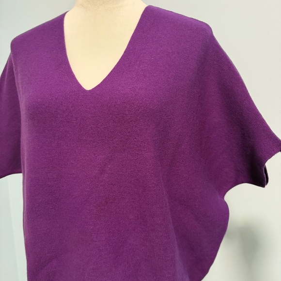 The Reset R Label 100% Wool Purple Essential V-Neck Pullover Sweater L/XL - Picture 2 of 7